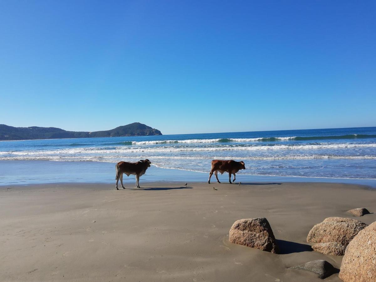 Pousada Gopak Praia do Rosa Esterno foto