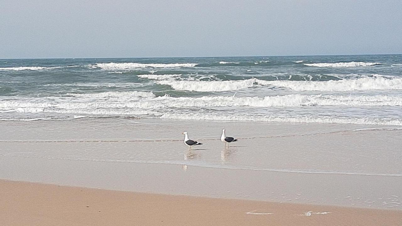 Pousada Gopak Praia do Rosa Esterno foto